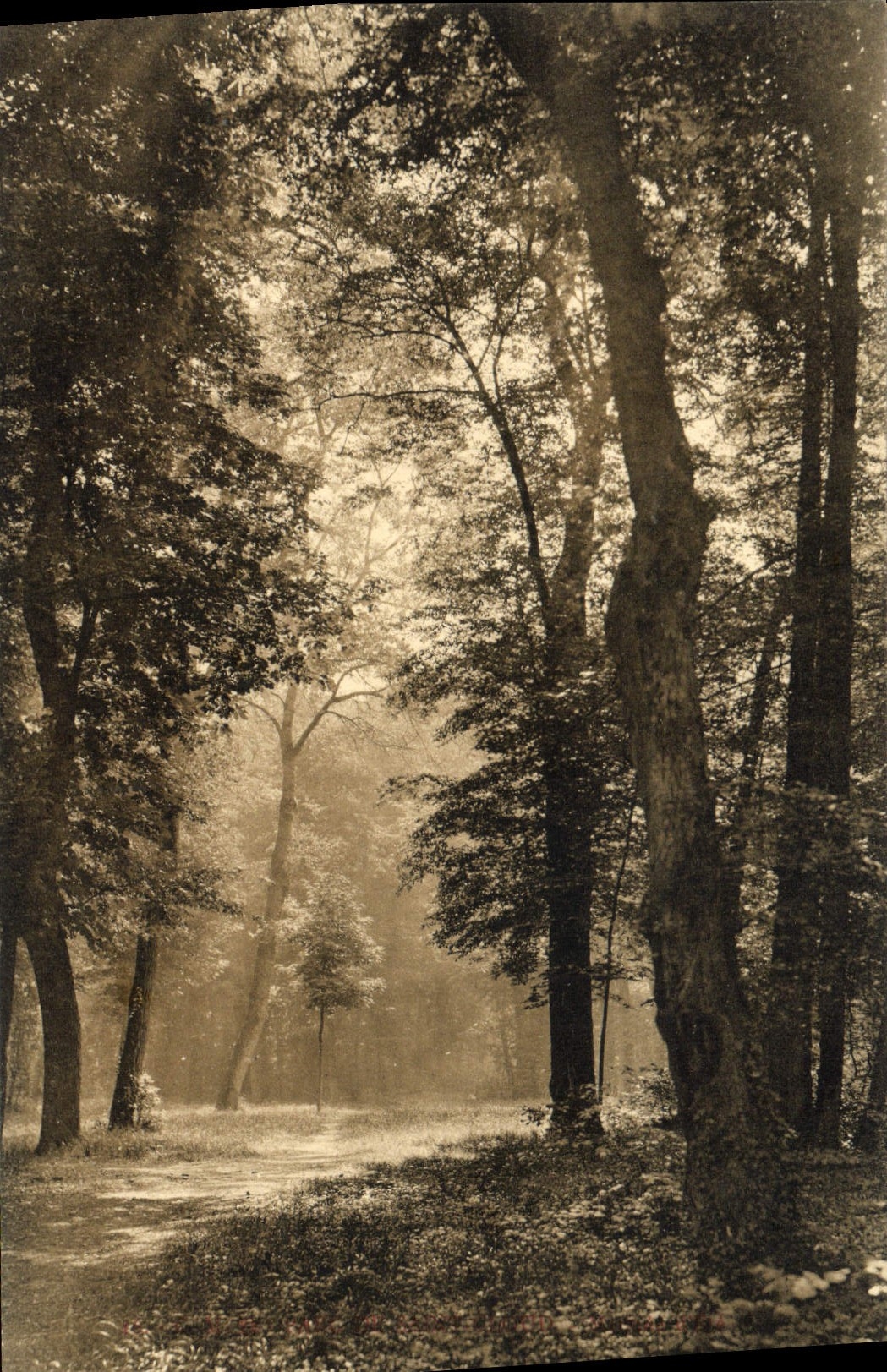 CPA Parc de Saint Cloud