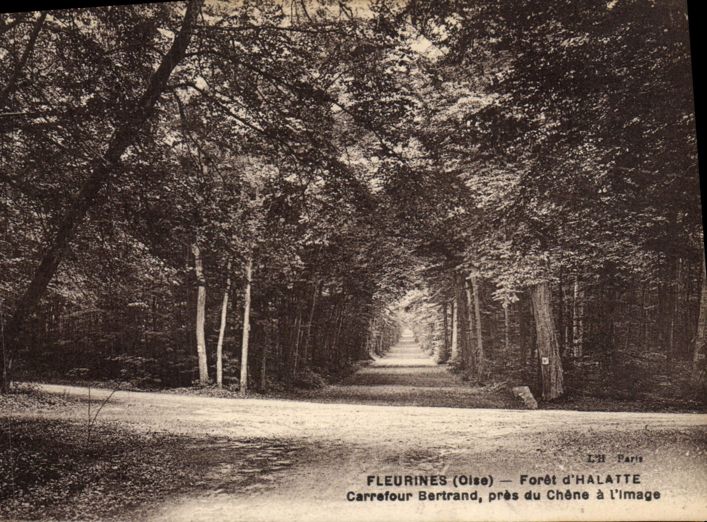 Taladro de Fleurines de la POSTAL de la VENDIMIA de la encrucijada Beltrán de Halatte cerca del roble a la imagen