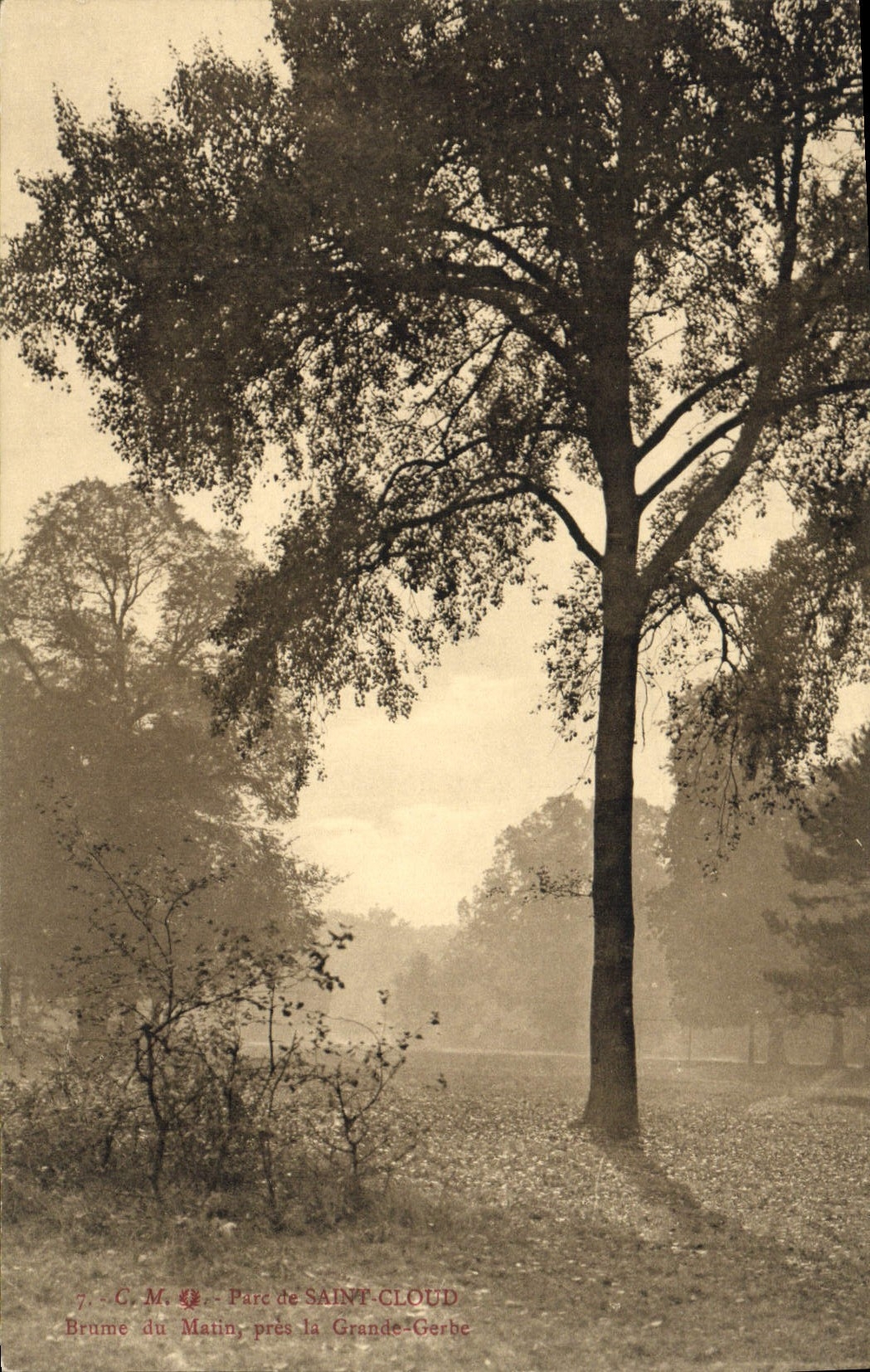 De la VENDIMIA de la POSTAL nube Saint del cierre de Martin que el grande apila
