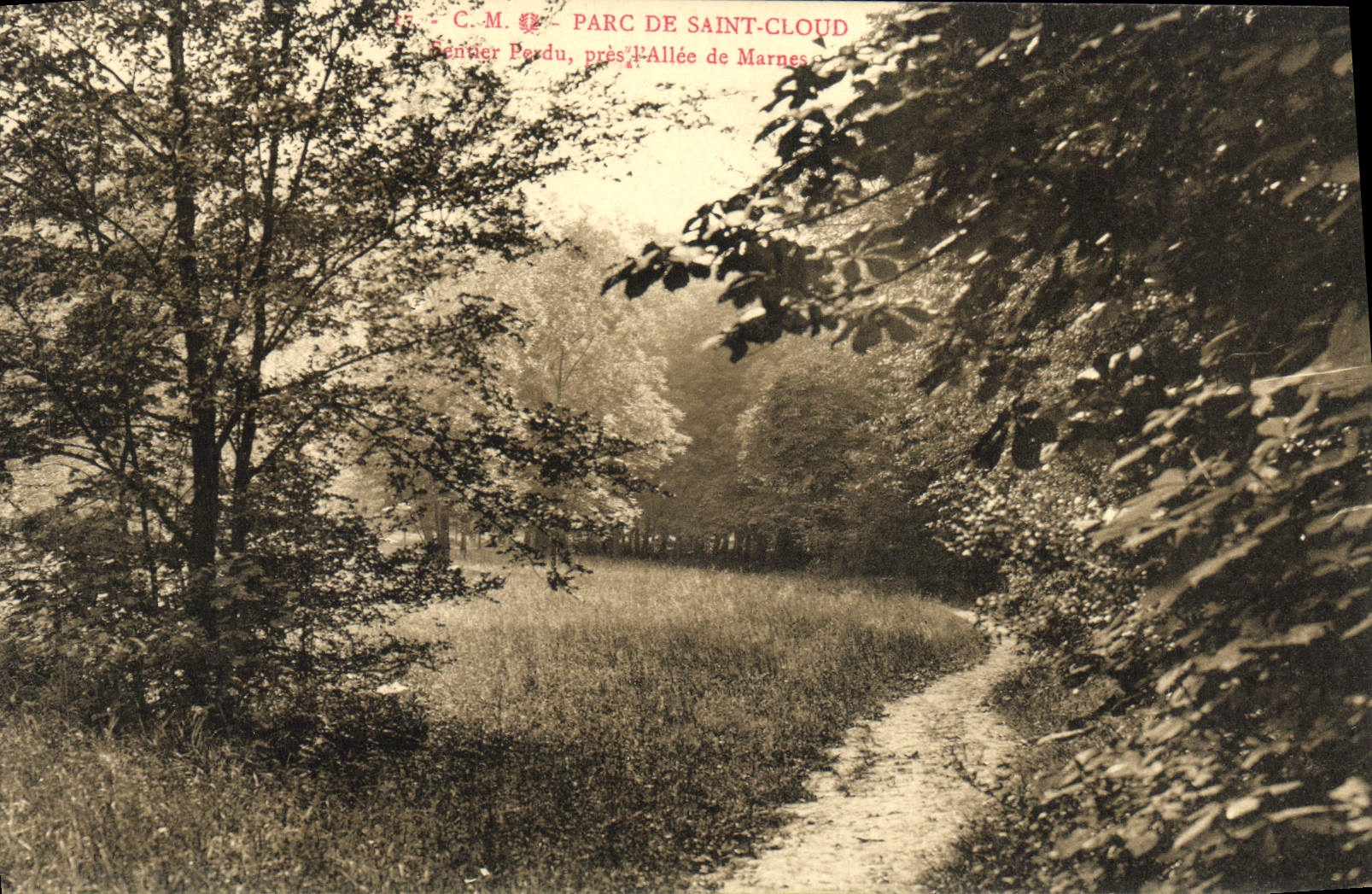 CPA Saint Cloud Parc Sentier perdu pres l'Allee de Marnes