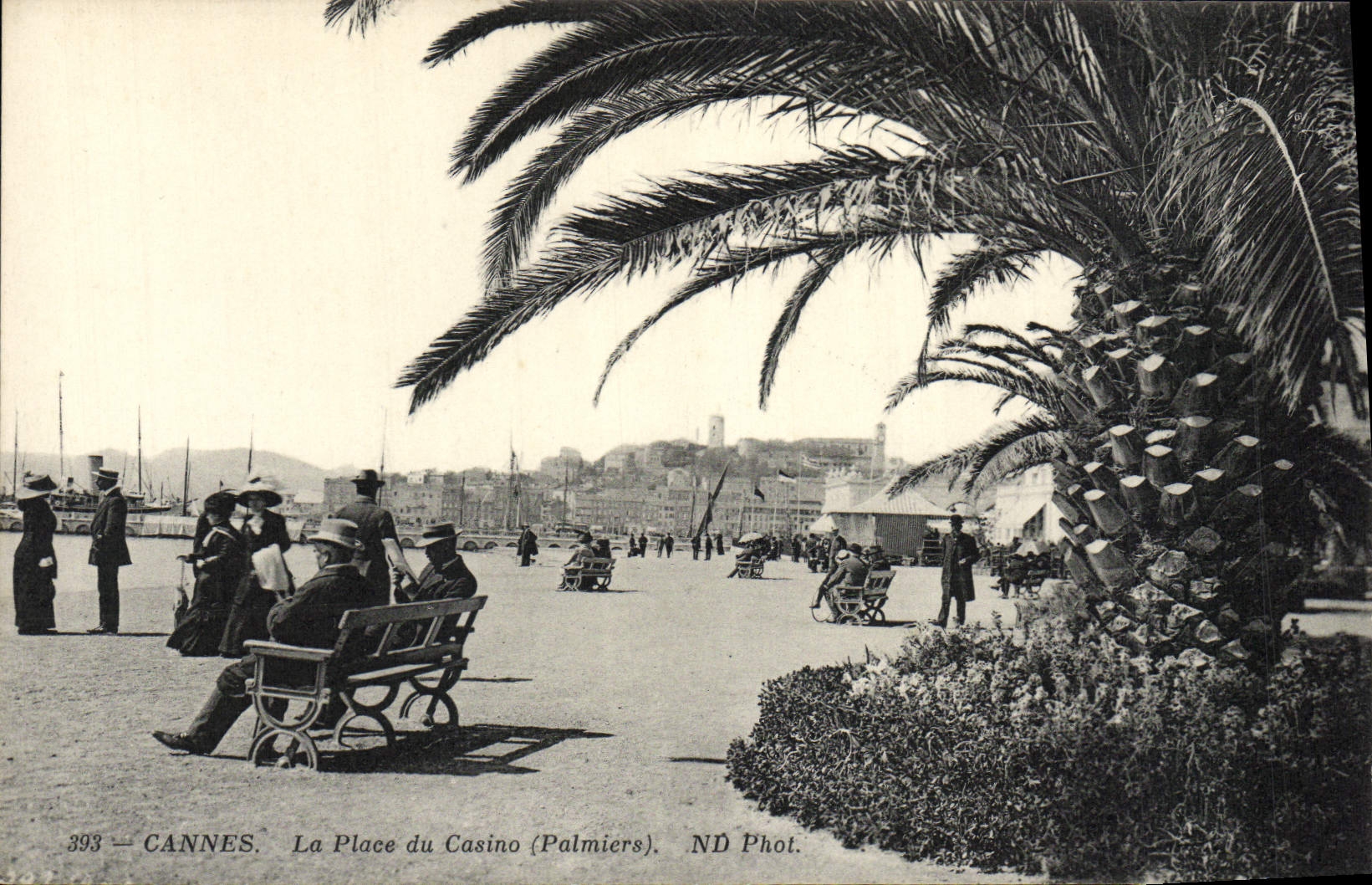 CPA Cannes La Place du Casino Palmiers