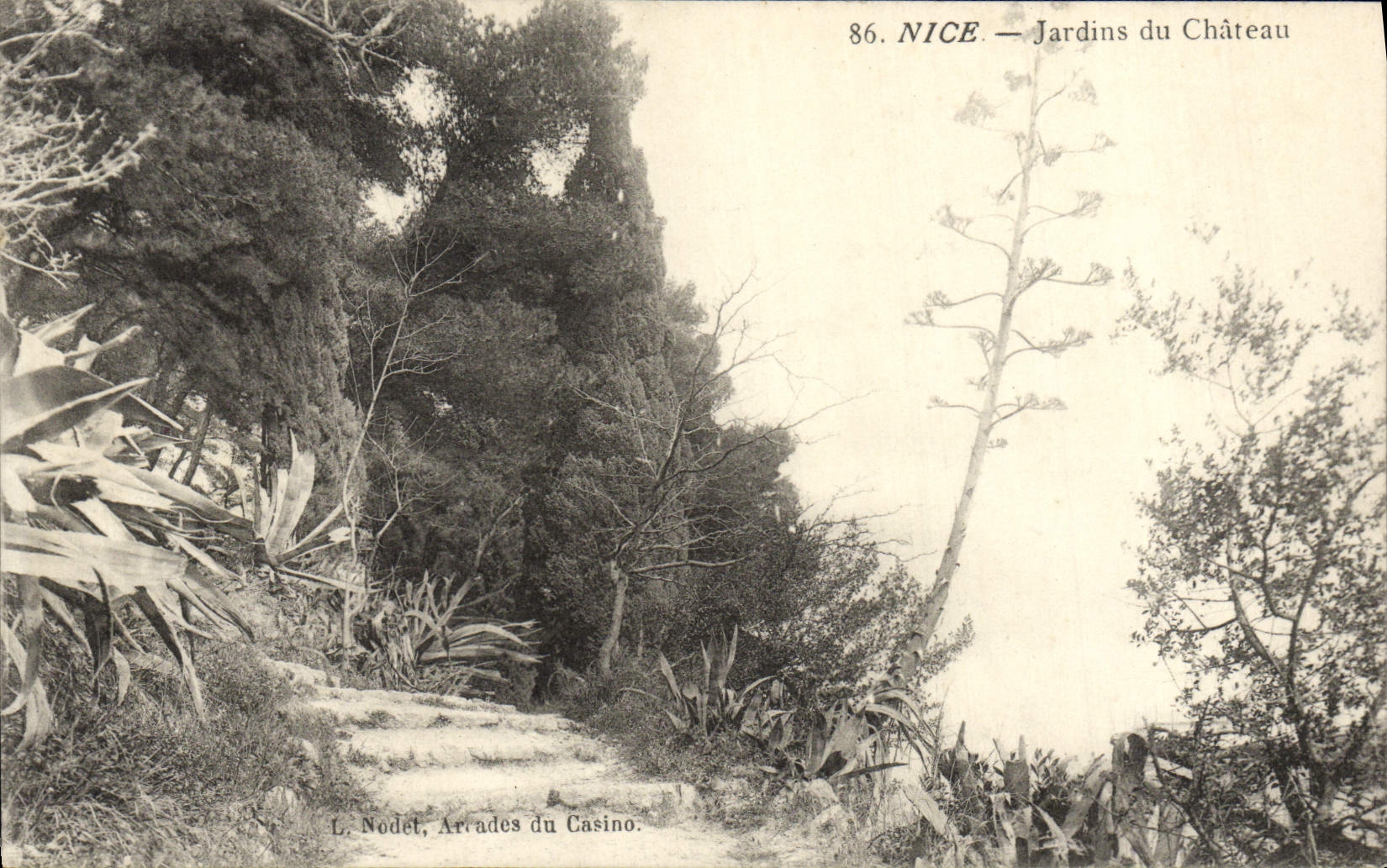 CPA Nice Jardins du Chateau 