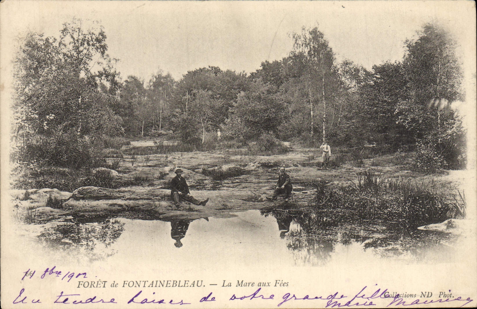 CPA Foret de Fontainebleau La Mare aux Fees