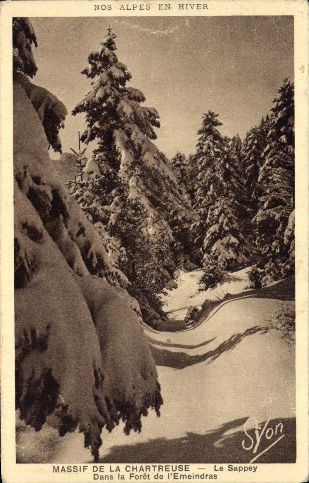 VINTAGE POSTCARD Massive of Chartreuse Sappey In the drill of Emeindras