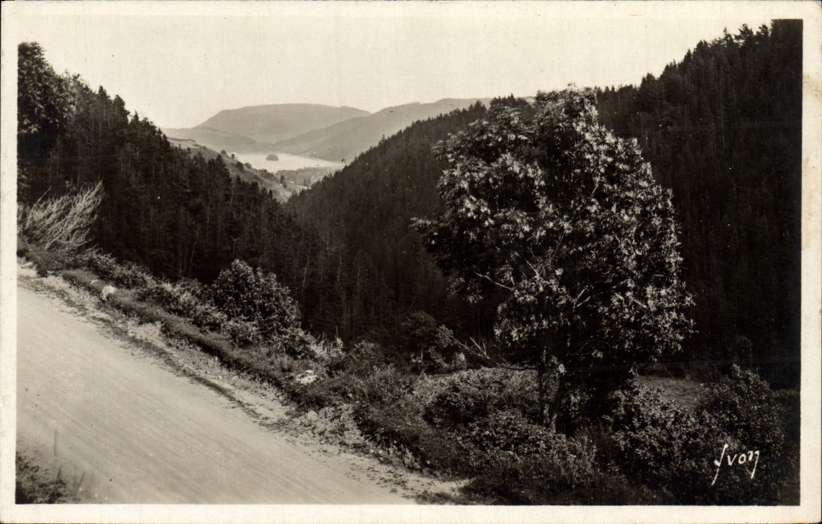 CPM Environs du Mont Dore Le lac chambon vu de la route du Mont Dore
