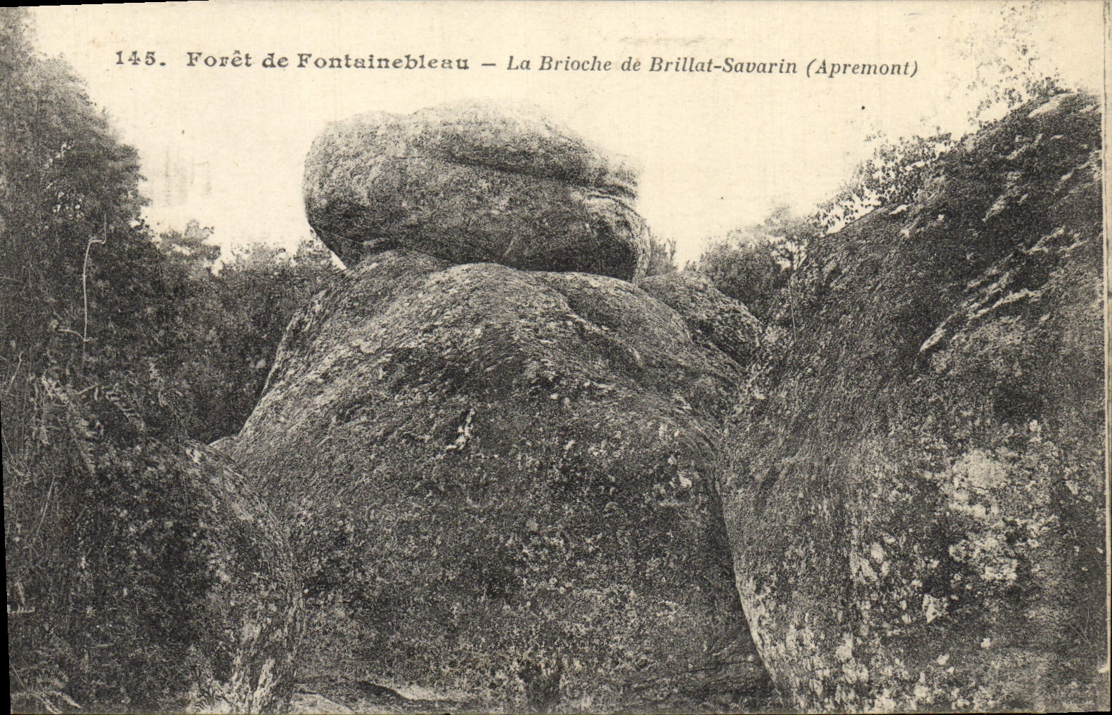CPA Foret de Fontainebleau La Brioche de Brillat Savarin Apremont