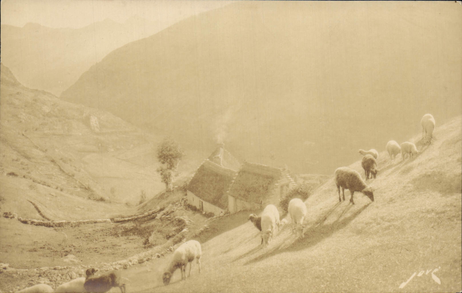 CPA Gavarnie Paturages dans la Montagne Moutons