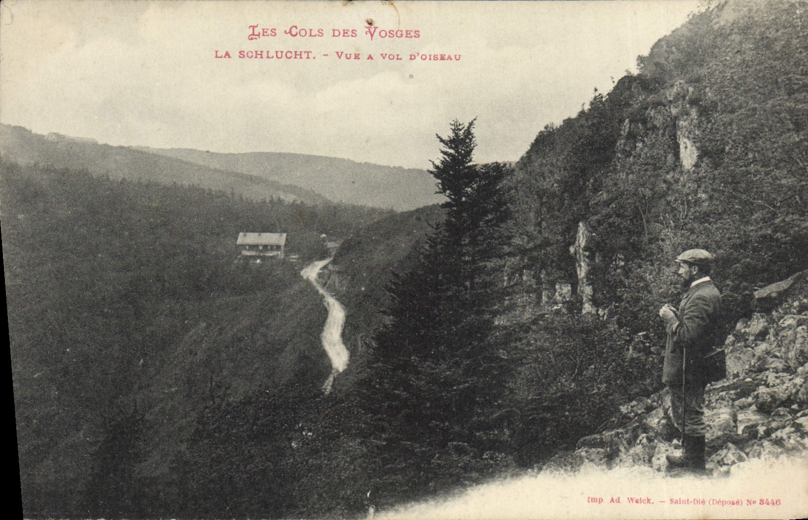 CPA Les Cols Des Vosges La Schlucht Vue a Vol D'Oiseau