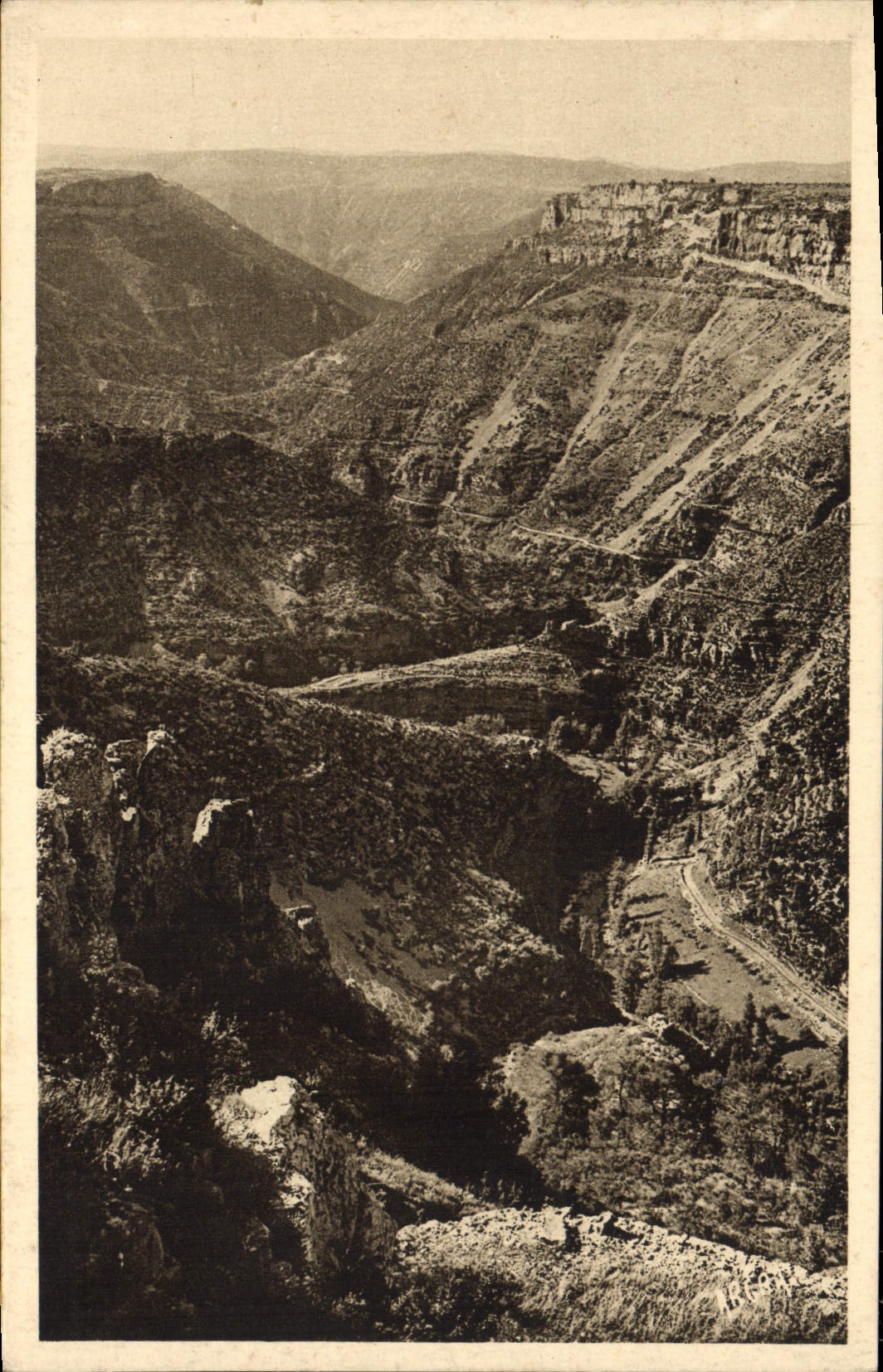 VINTAGE POSTCARD Valley Of the Screw the Gun of the Screw downstream from Navacelles