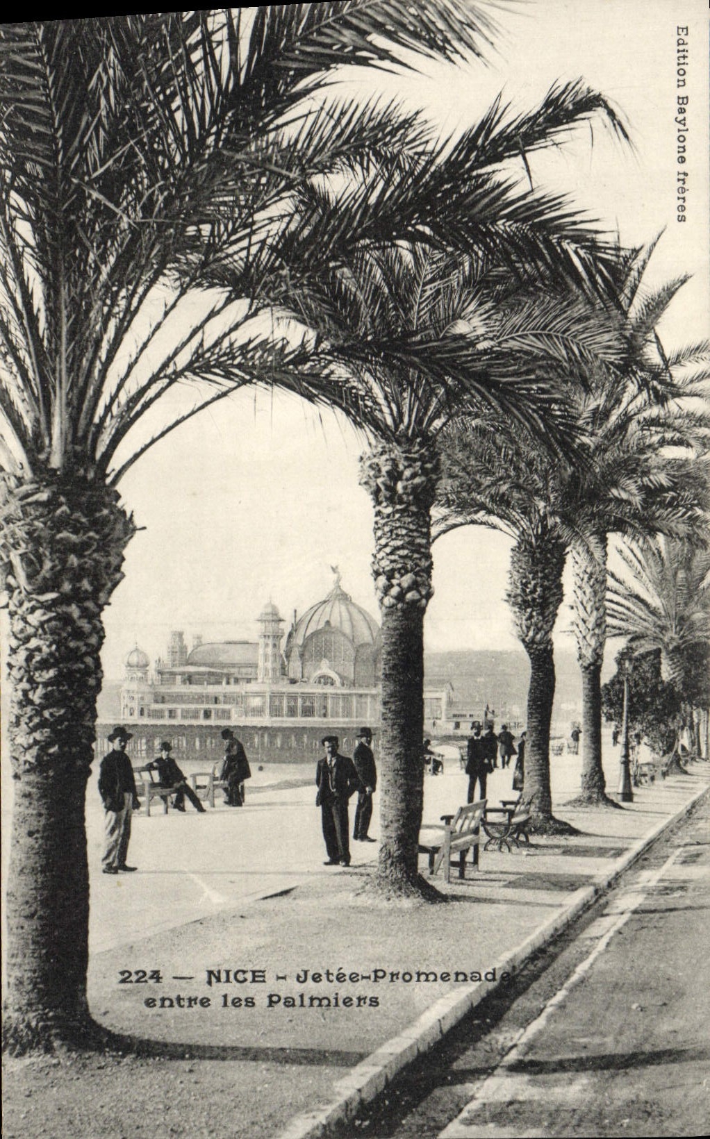 CPA Nice Jetee Promenade Entre les Palmiers
