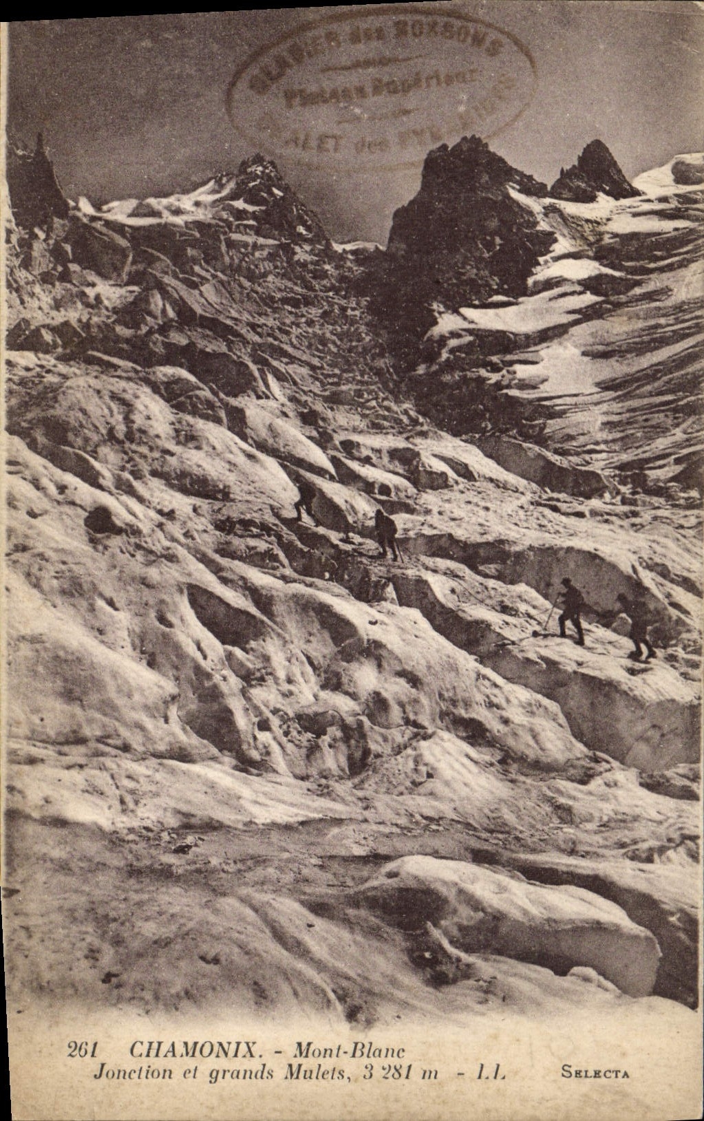 Ensambladura de Chamonix Mont Blanc de la POSTAL de la VENDIMIA y mulas grandes