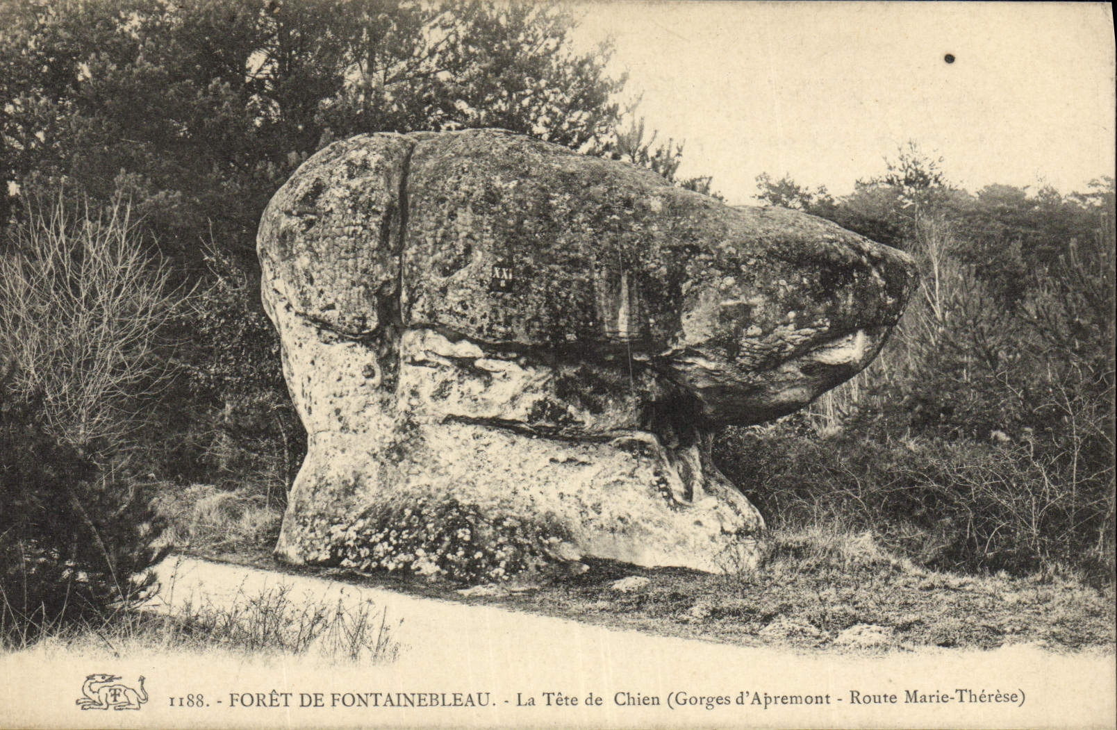 VINTAGE POSTCARD Drill of Fontainebleau the Head of Dog Falls of Apremont Road Marie Therese