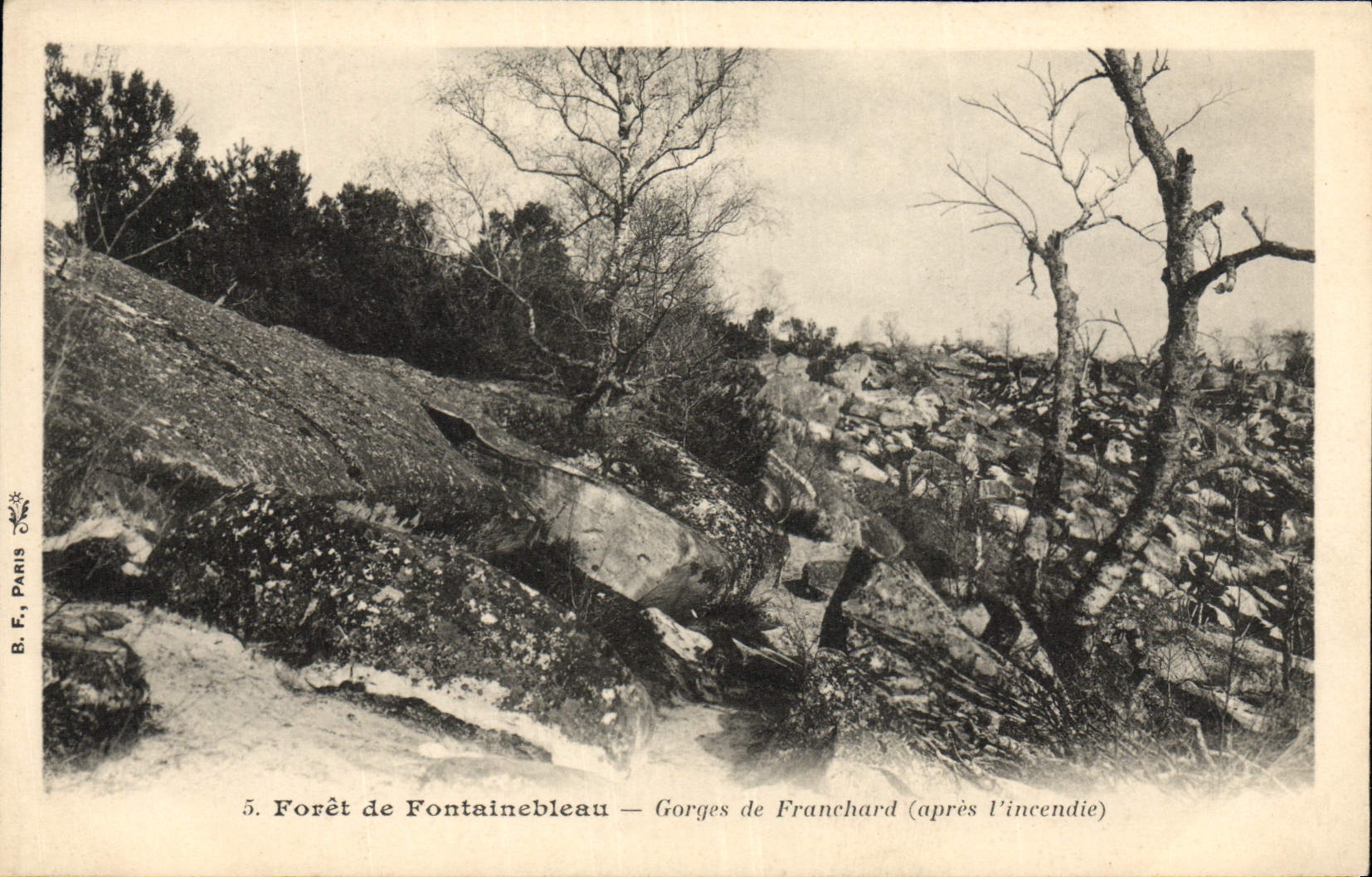CPA Foret de Fontainebleau Gorges de Franchard apres l'incendie