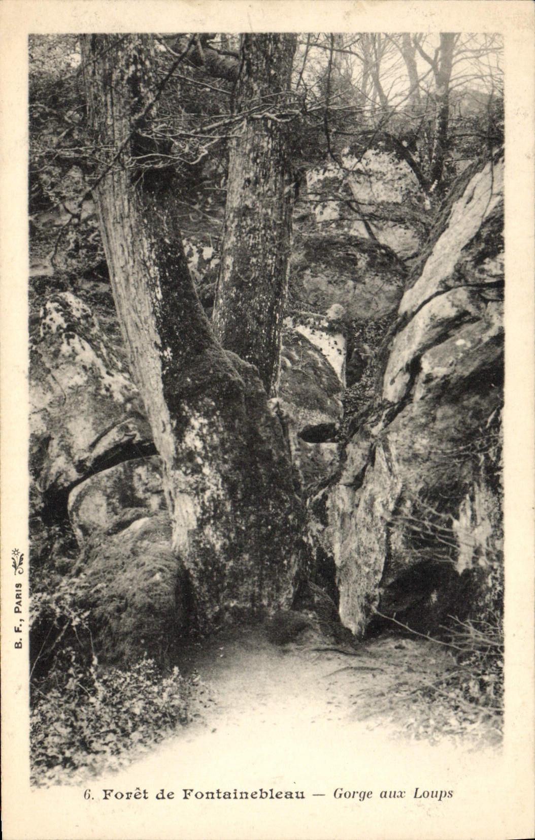 CPA Foret De Fontainebleau Gorge Aux Loups
