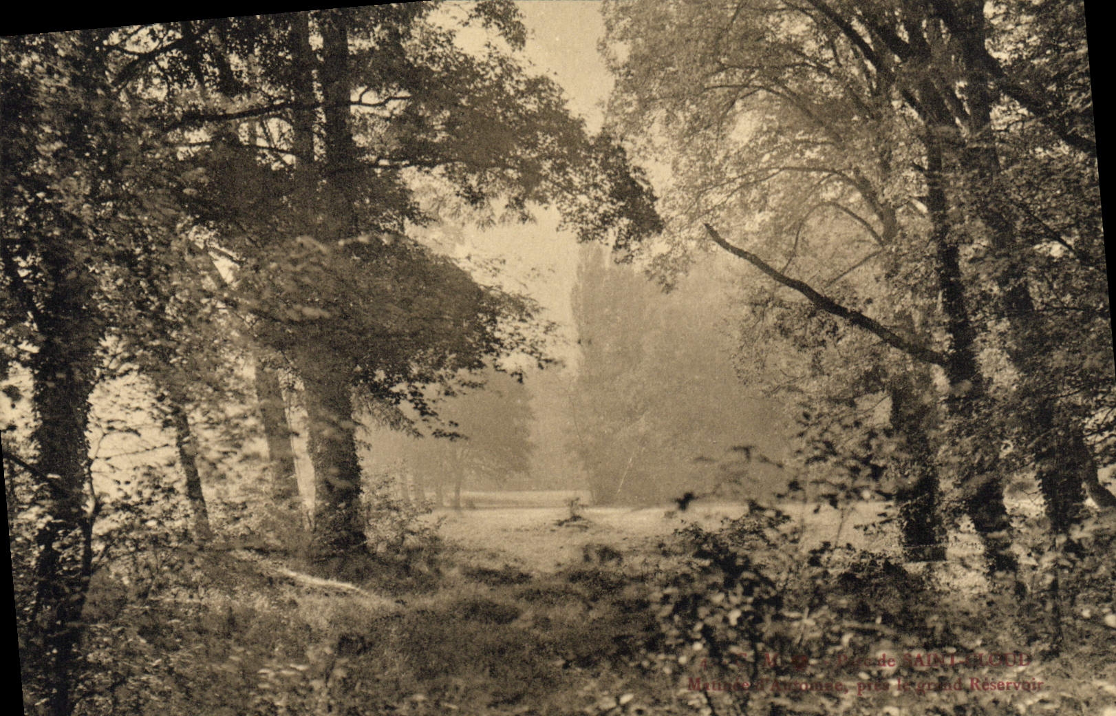 CPA Parc de Saint Cloud 