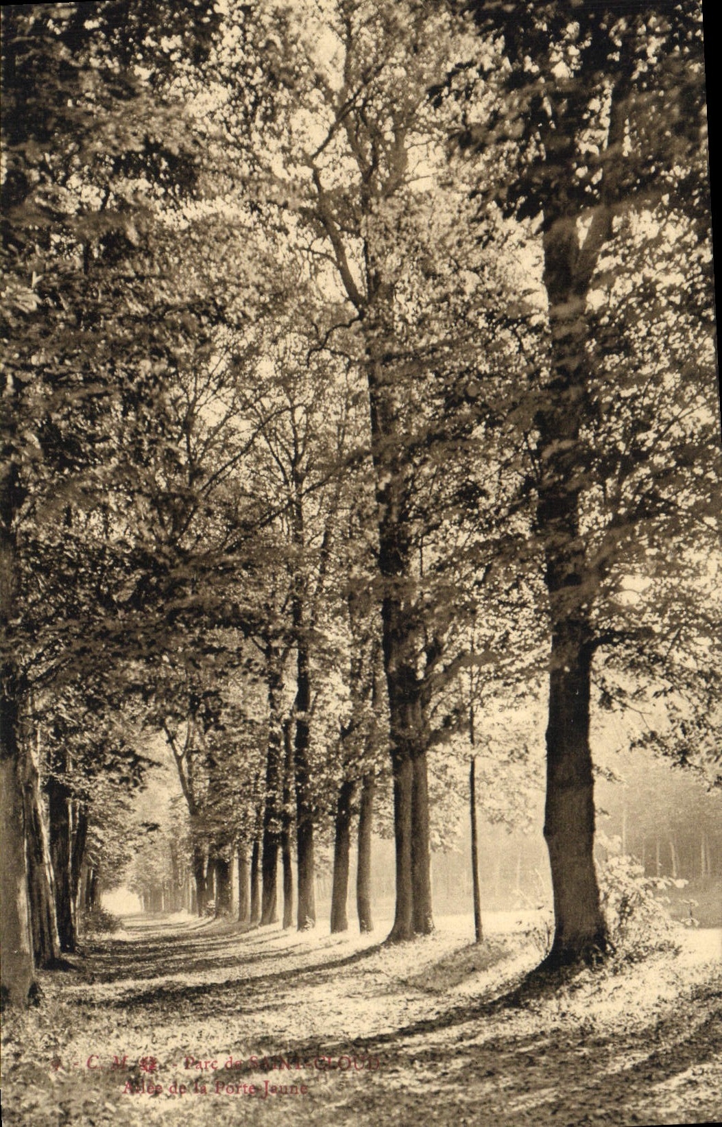 Parque de la POSTAL de la VENDIMIA de nube del St