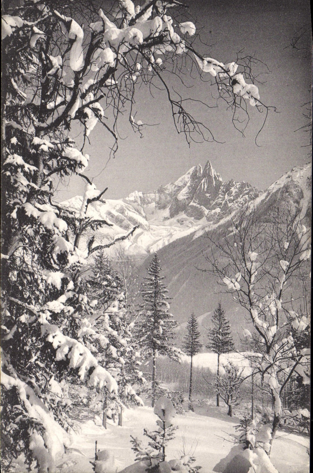 VINTAGE POSTCARD Landscape under Swiss snow