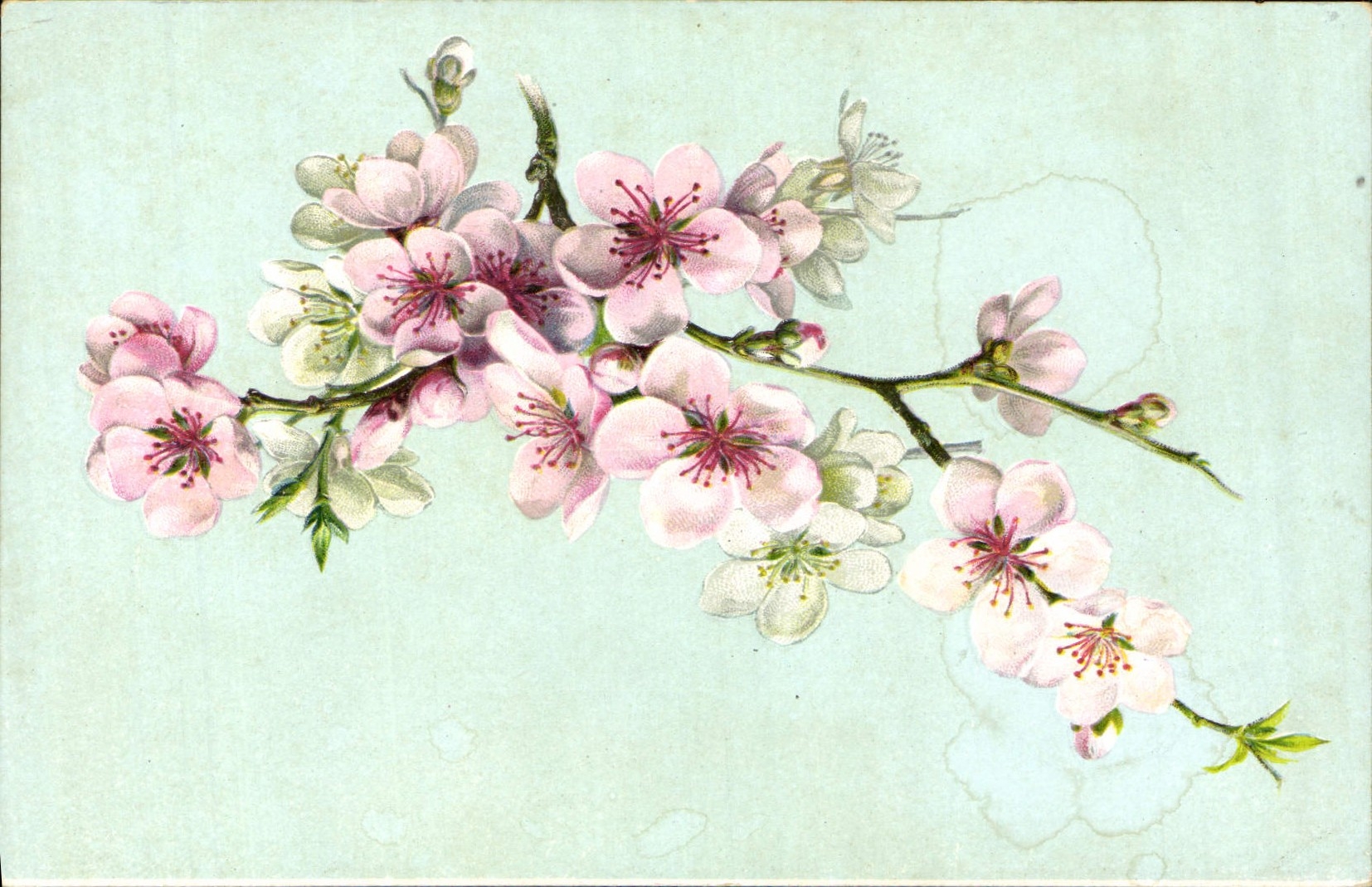 CPA Fantaisie Bonne Fete Fleurs 