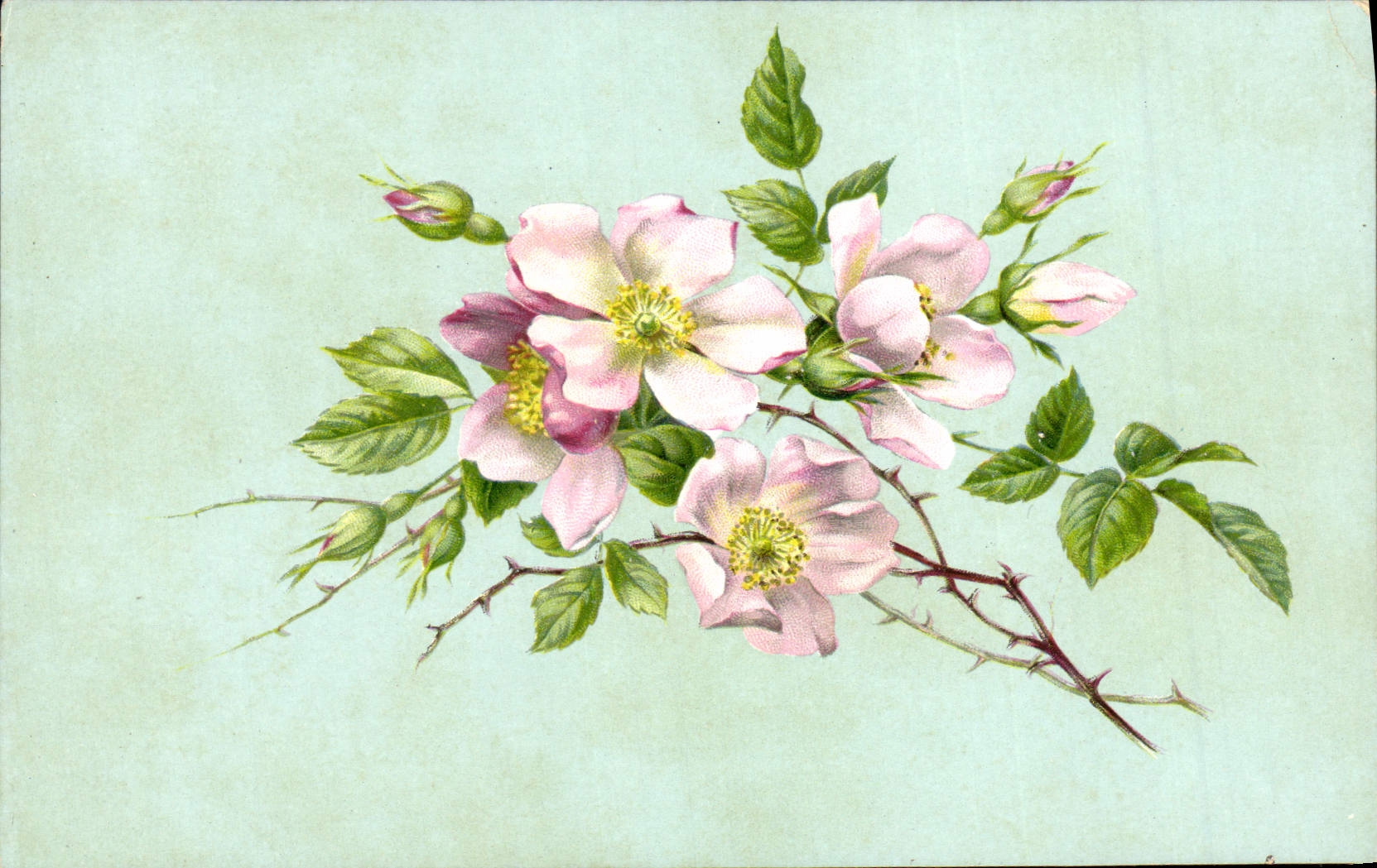 CPA Fantaisie Fleurs 