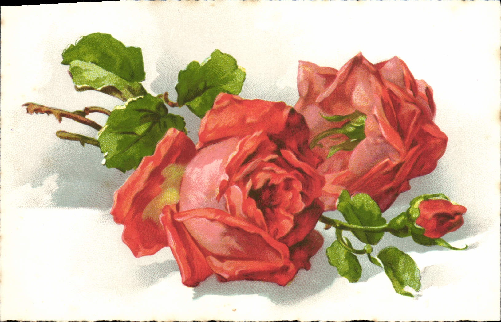 CPA Fantaisie Fleurs 