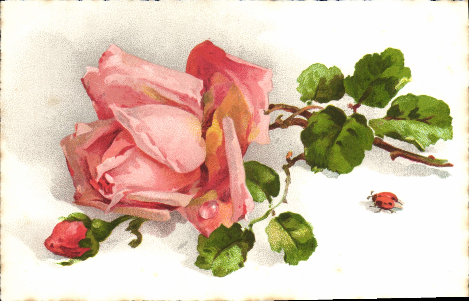 CPA Fantaisie Fleurs