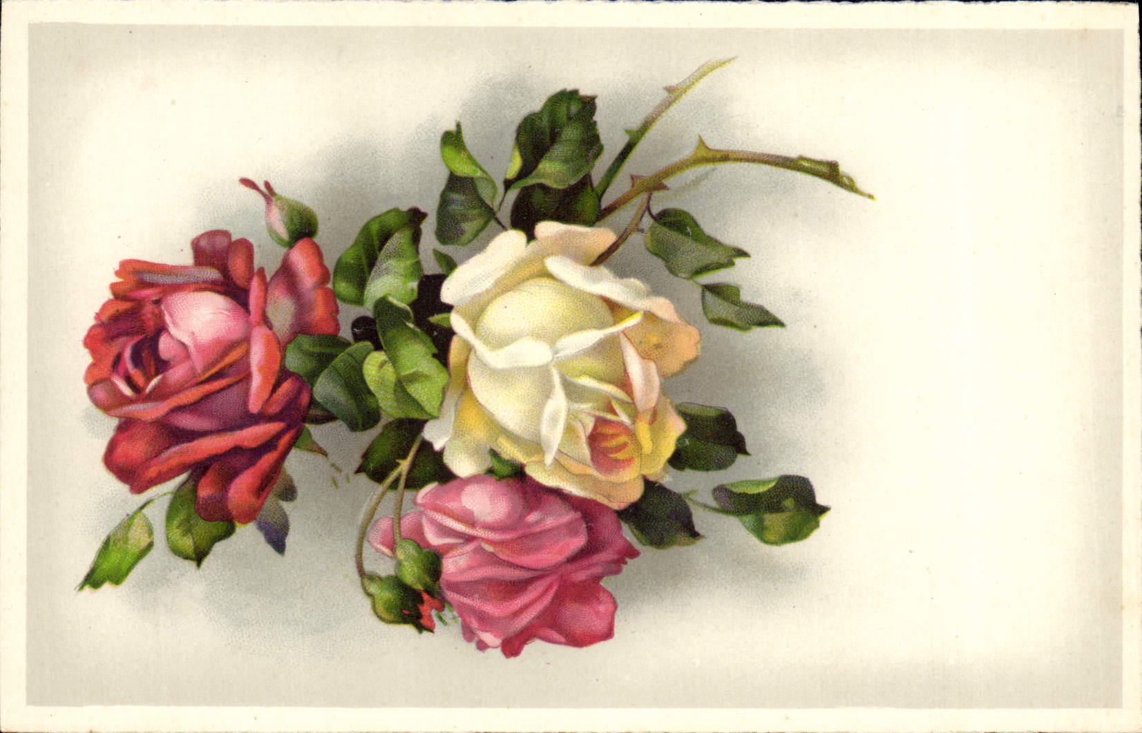 CPA Fantaisie Fleurs