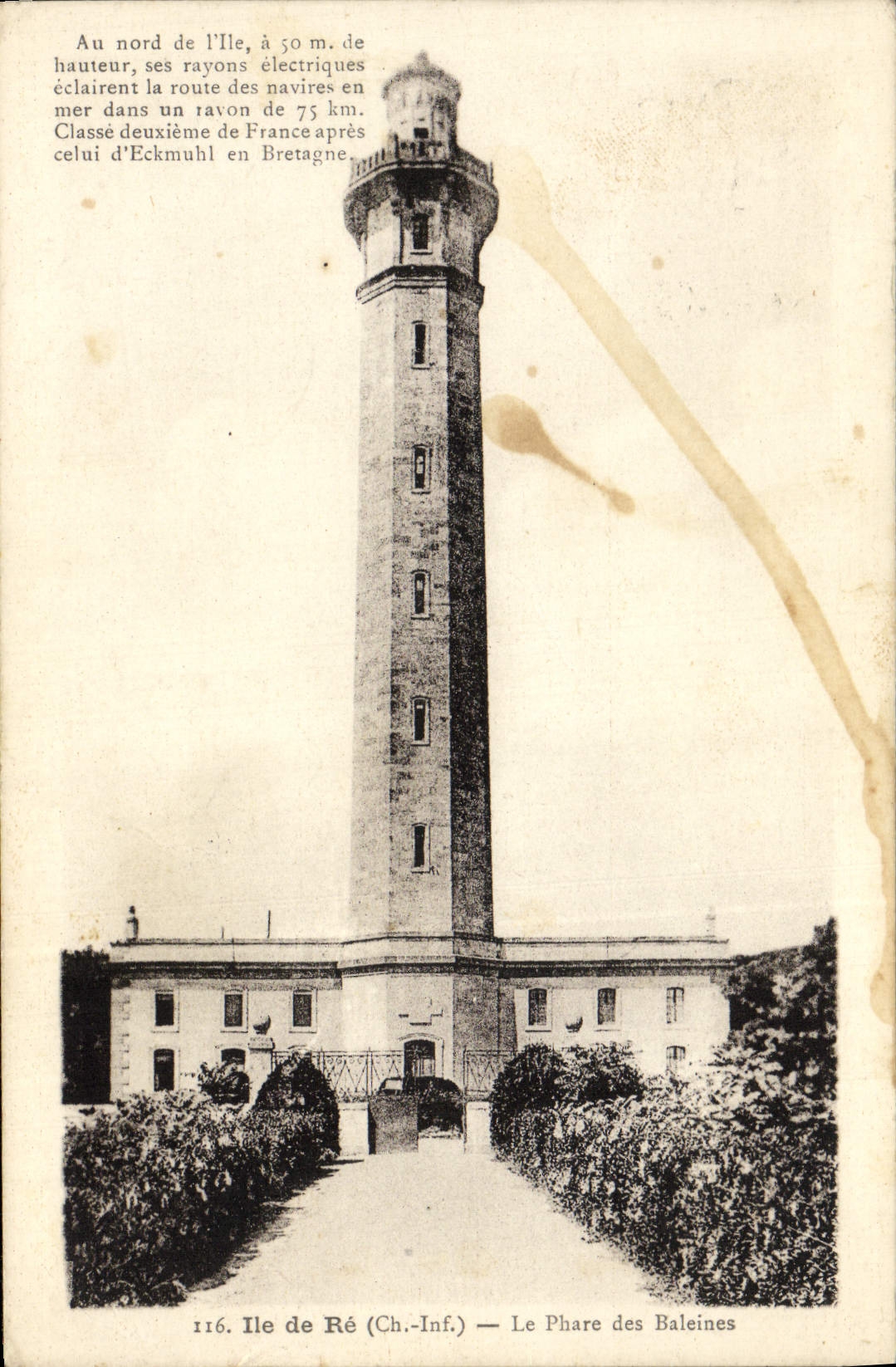 CPA Ile de Re Le phare des baleines
