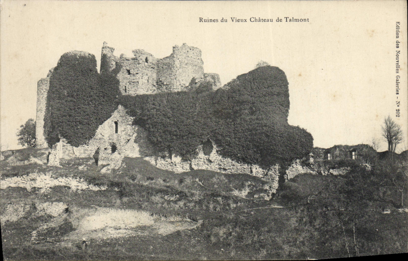 CPA Ruines du vieux chateau de Talmont 