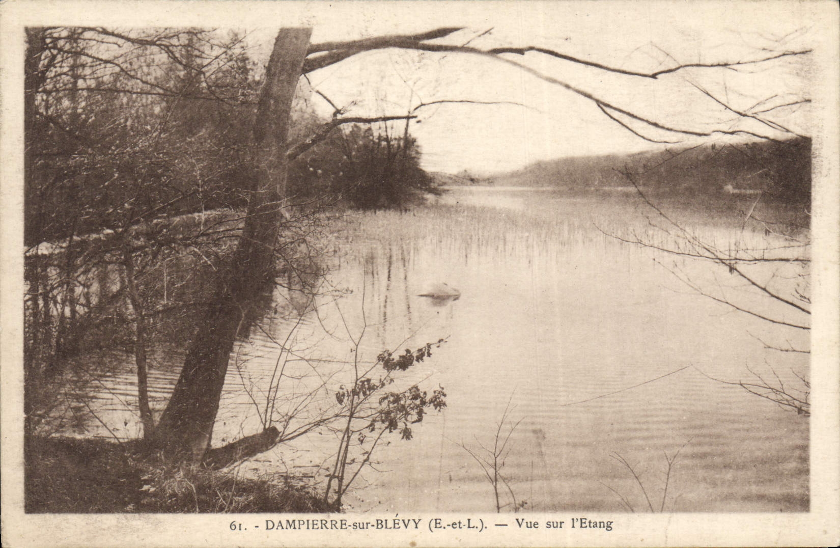 POSTAL Dampierre de la VENDIMIA en Blevy visto en la charca