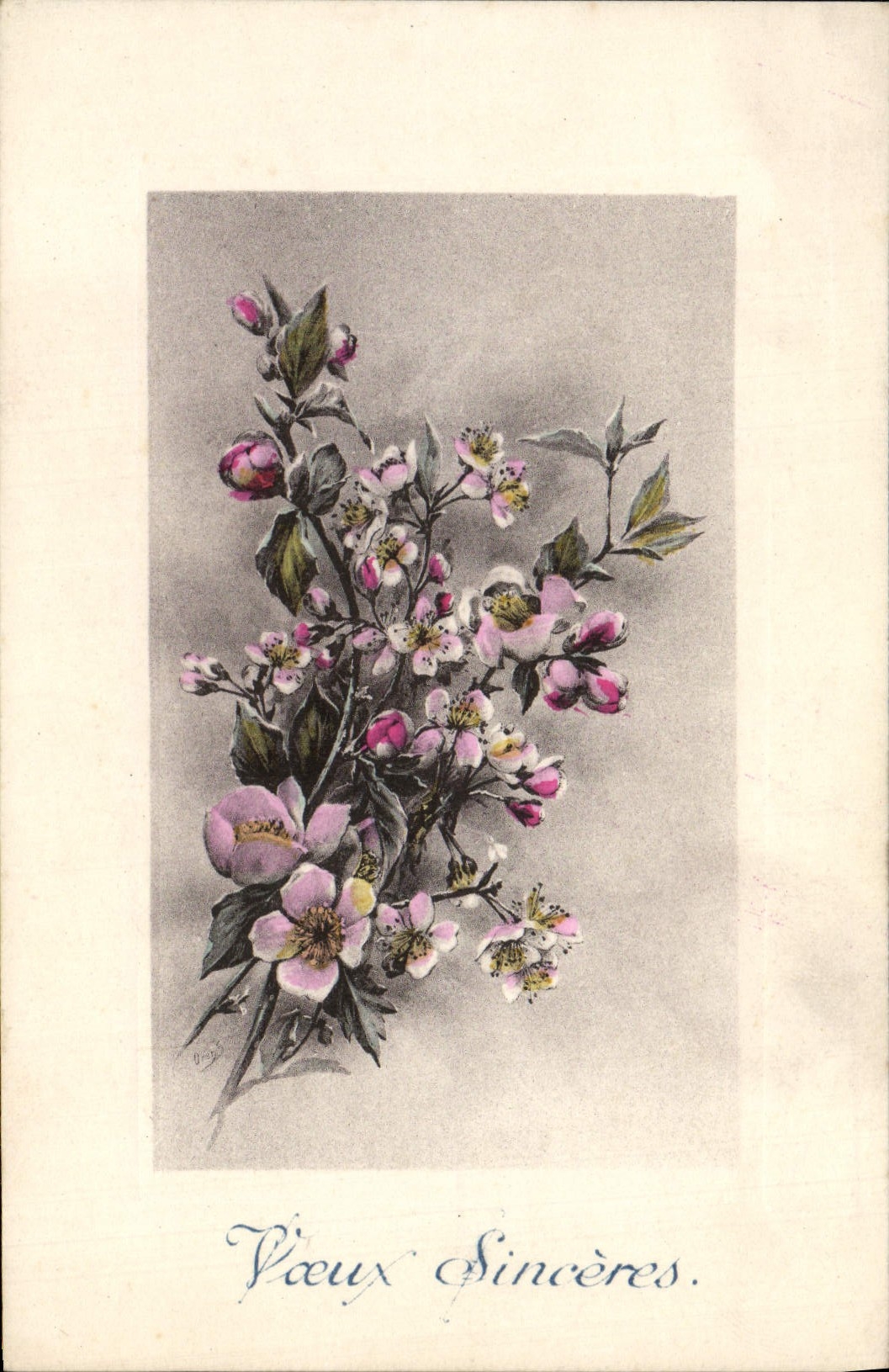 VINTAGE POSTCARD Fantasy Flowers Sineceres Old man