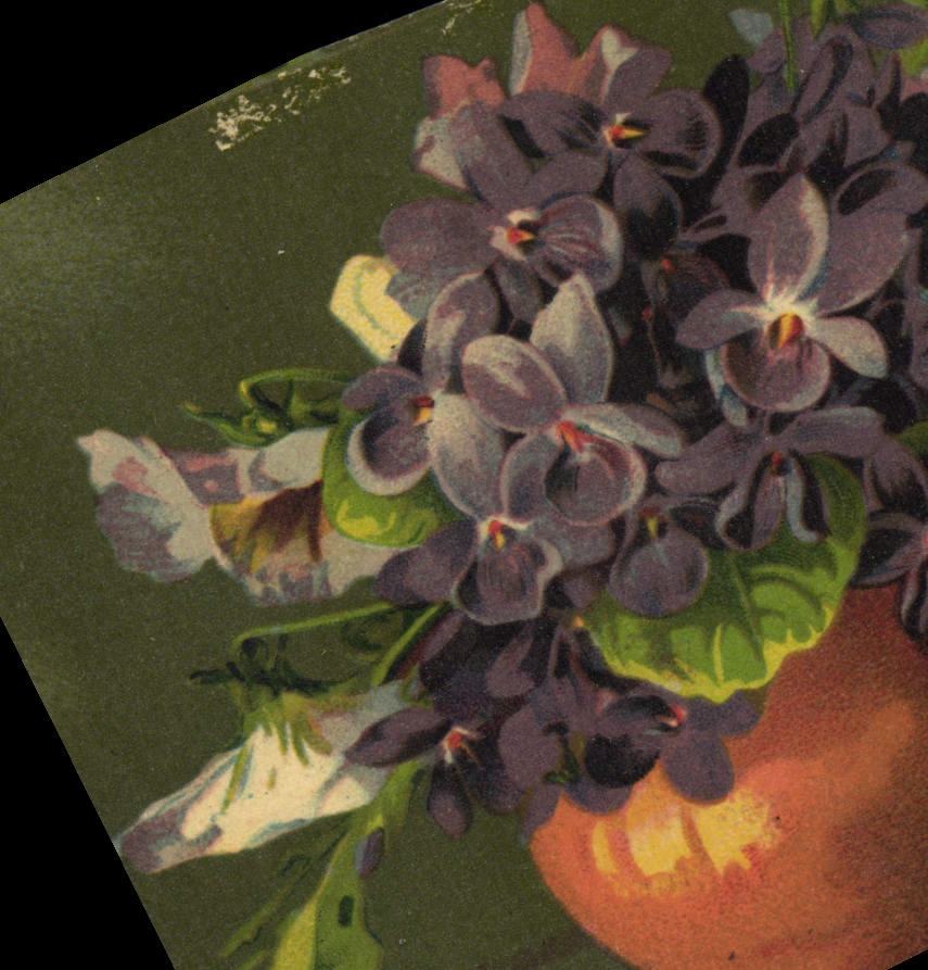 CPA Fantaisie Fleurs 