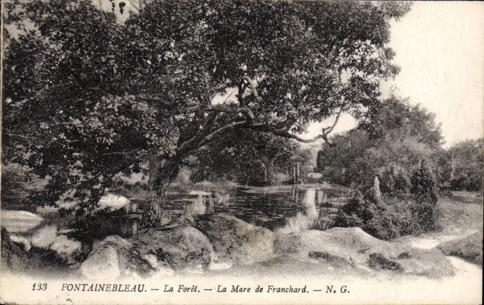 CPA Fontainebleau La Foret La Mare de Franchard