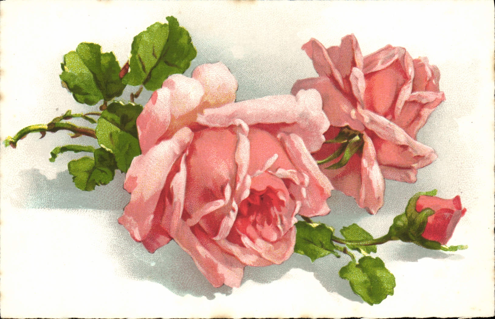 CPA Fantaisie Fleurs