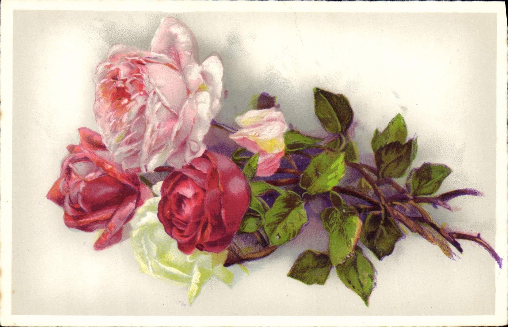 CPA Fantaisie Fleurs