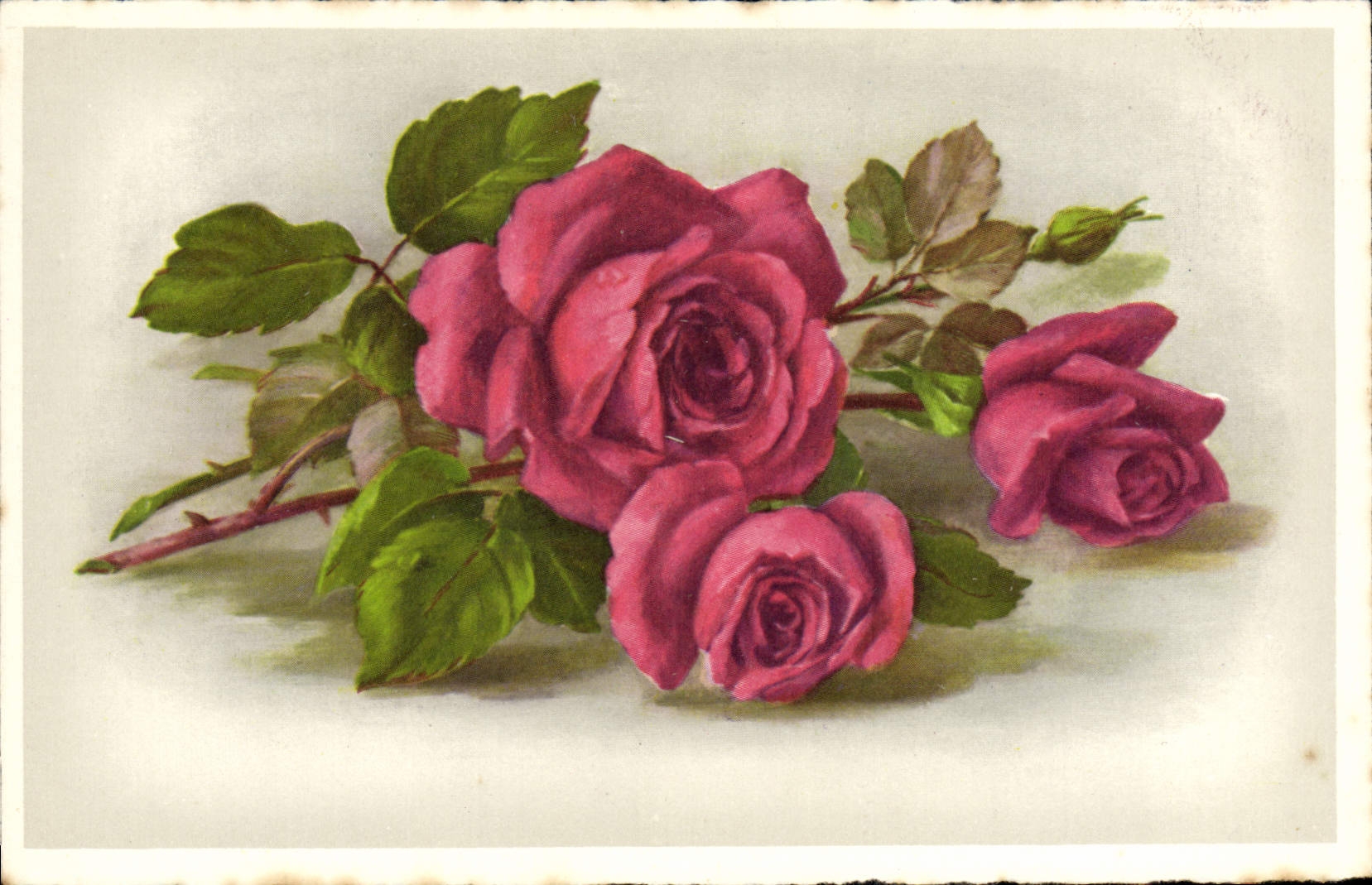 CPA Fantaisie Fleurs