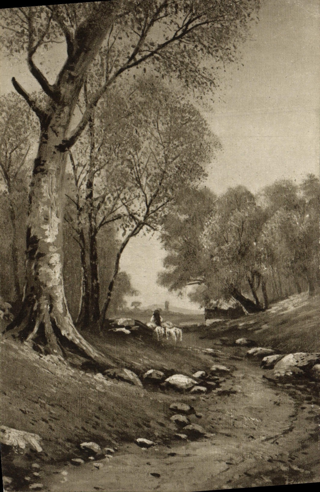 CPA Fantaisie Sous bois chemin