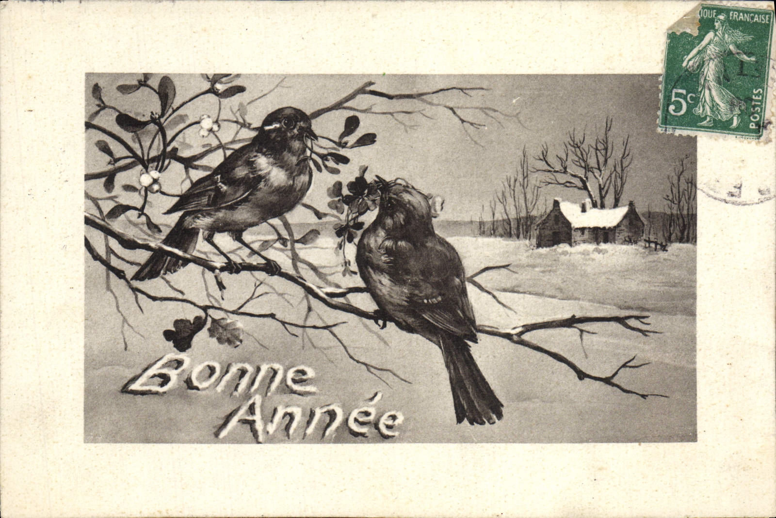CPA Fantaisie Oiseaux Bonne annee