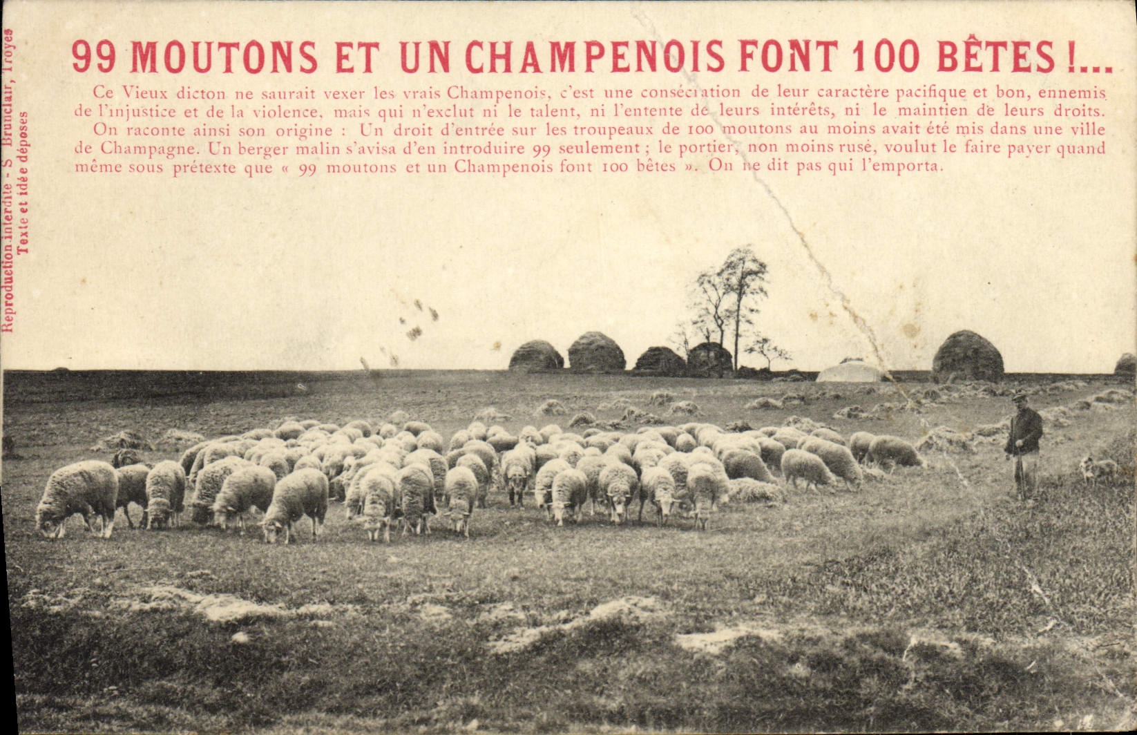 VINTAGE POSTCARD 99 Sheep And Champagne Make 100 animals