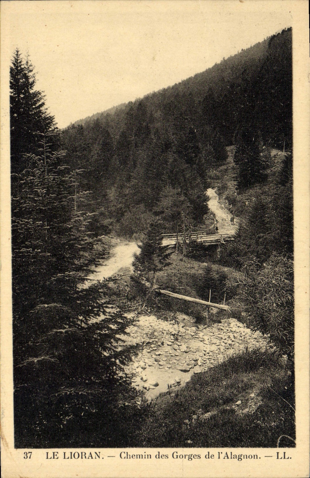 VINTAGE POSTCARD Lioran Way Of the Falls De I' Alagnon