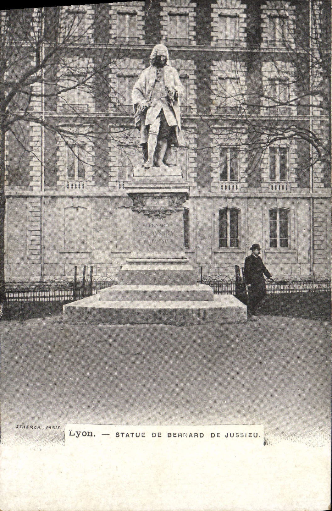 Reglas de Lyon de la POSTAL de la VENDIMIA de Bernard de Jussieu