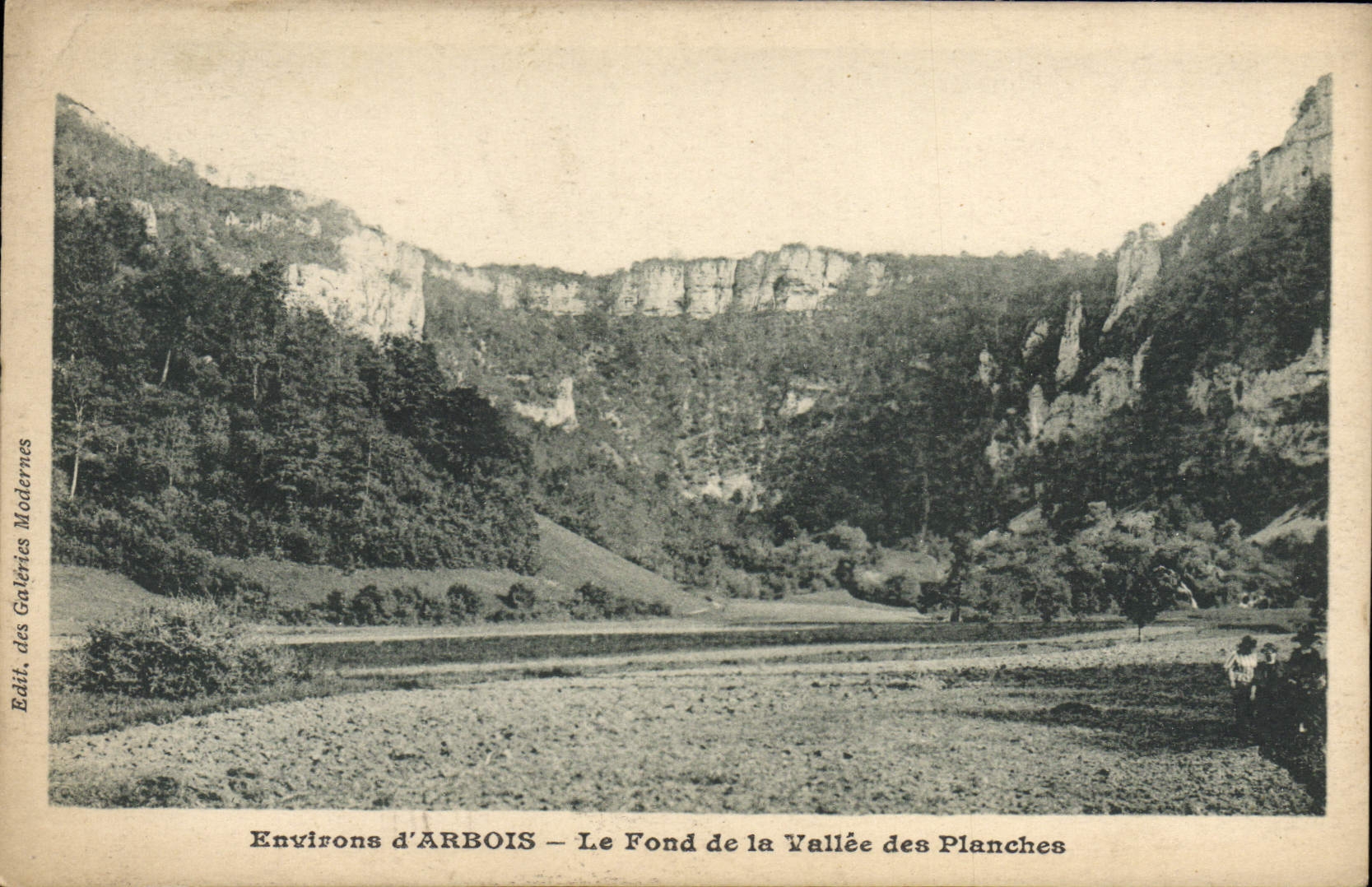 VINTAGE POSTCARD Surroundings of Alpine laburnum Depths of the valley of the Boards