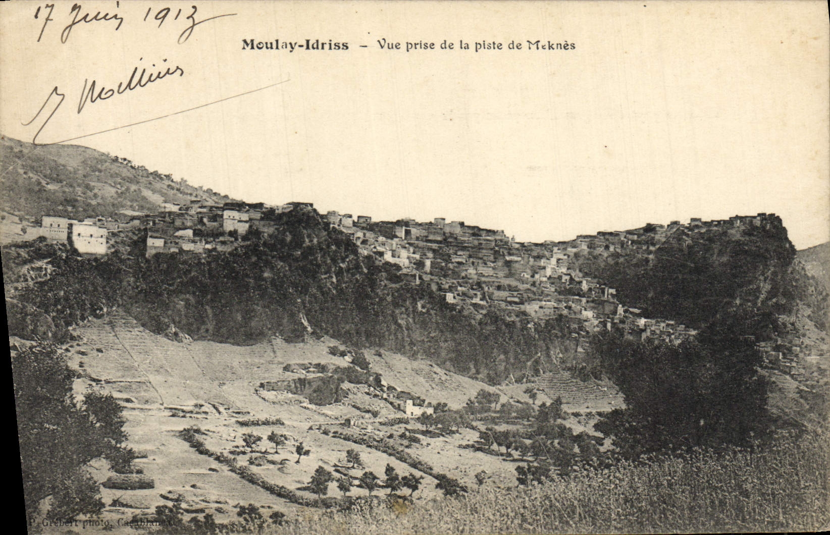 POSTAL Moulay Idriss de la VENDIMIA vista de la pista De Meknes