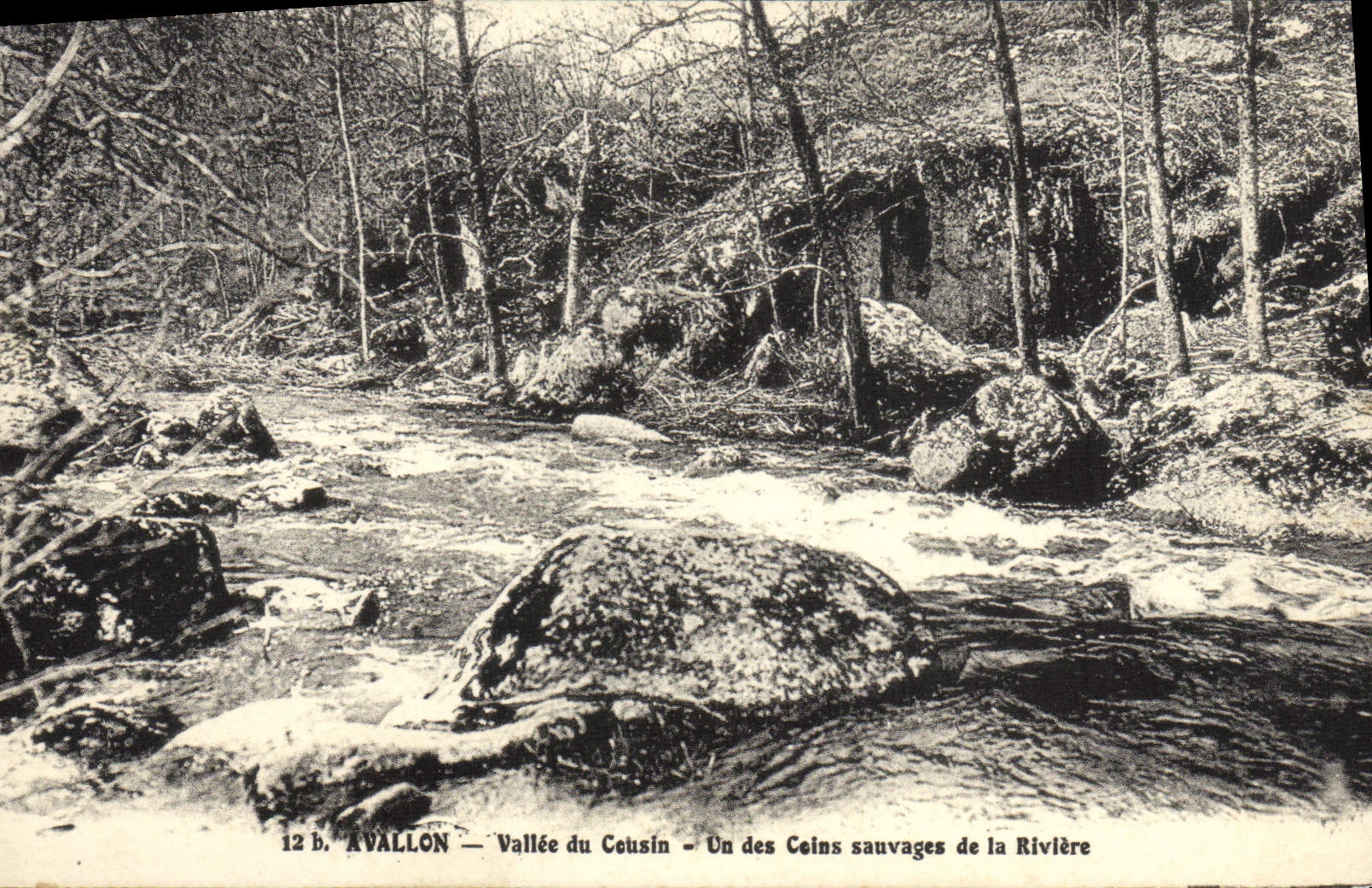 CPA Avallon Vallee du Cousin Un des Coins sauvages de la Riviere