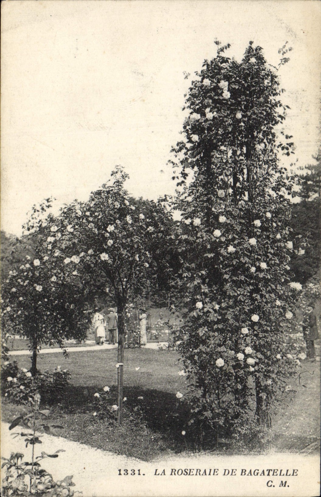 CPA La Roseraie De Bagatelle