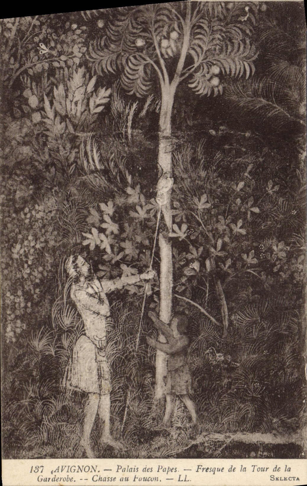 Paladar de Avignon de la POSTAL de la VENDIMIA de los papas Fresco Of la torre de la caza del garderobe para el halcón