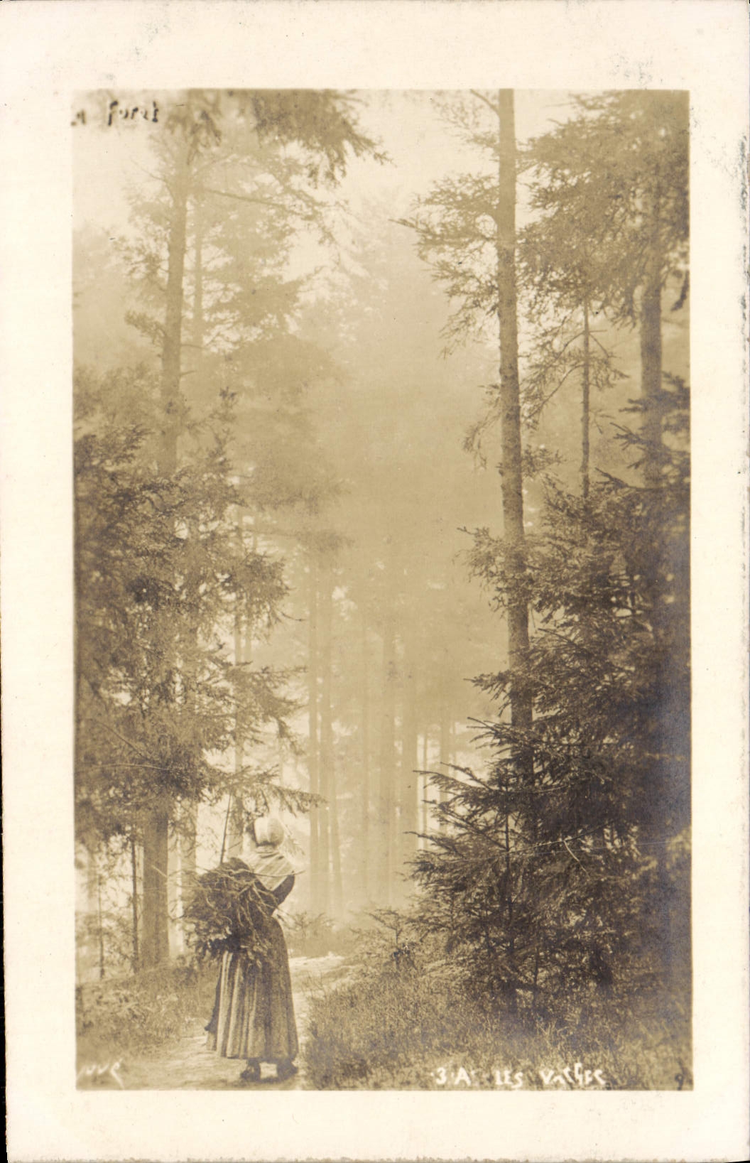 CPA Paysanne dans les bois Folklore