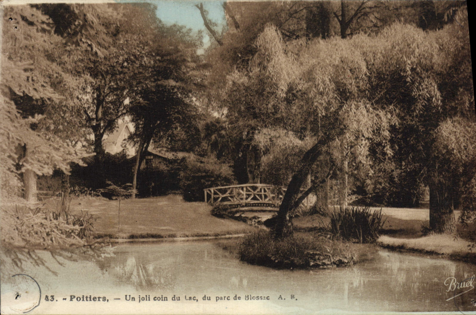 CPA Poitiers Un joli coin du Lac du parc de Blossac