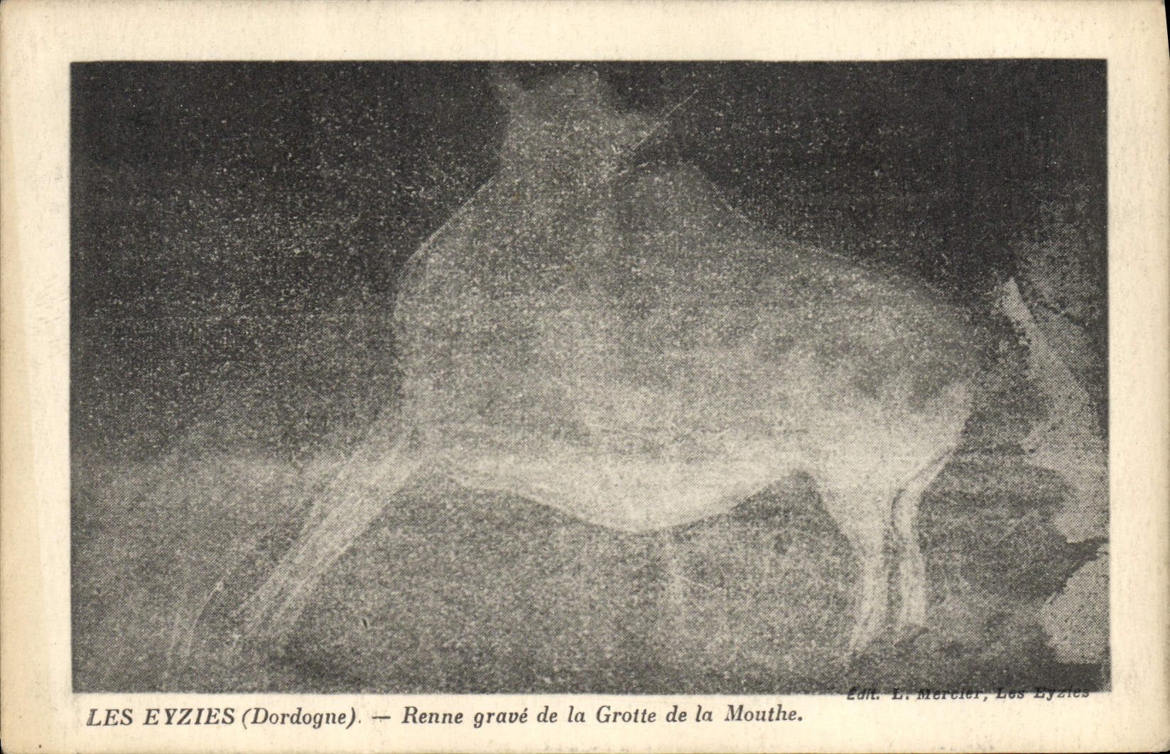 CPA Les Eyzies Renne grave de la Grotte de la Mouthe 