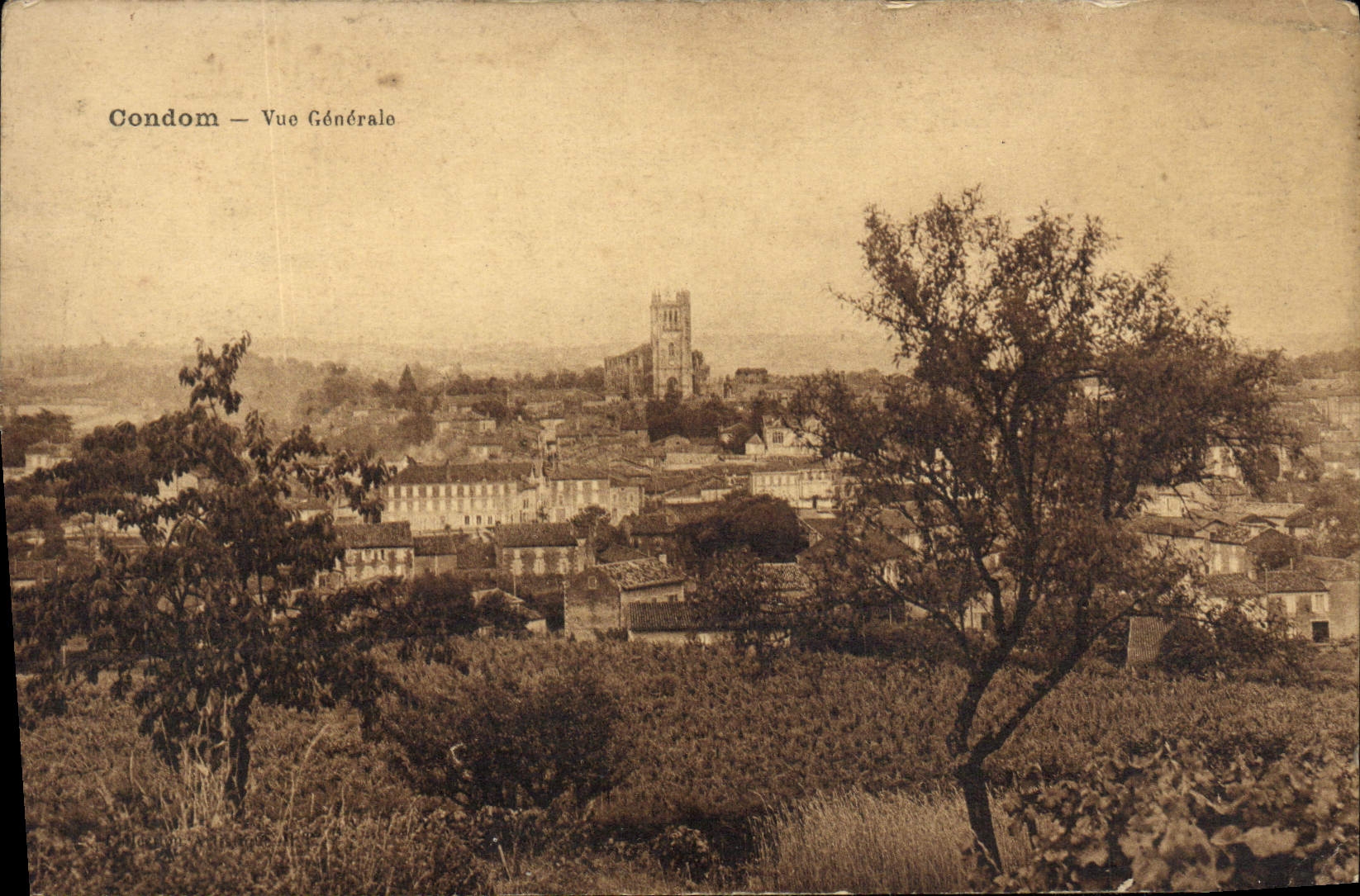 VINTAGE POSTCARD Condom View