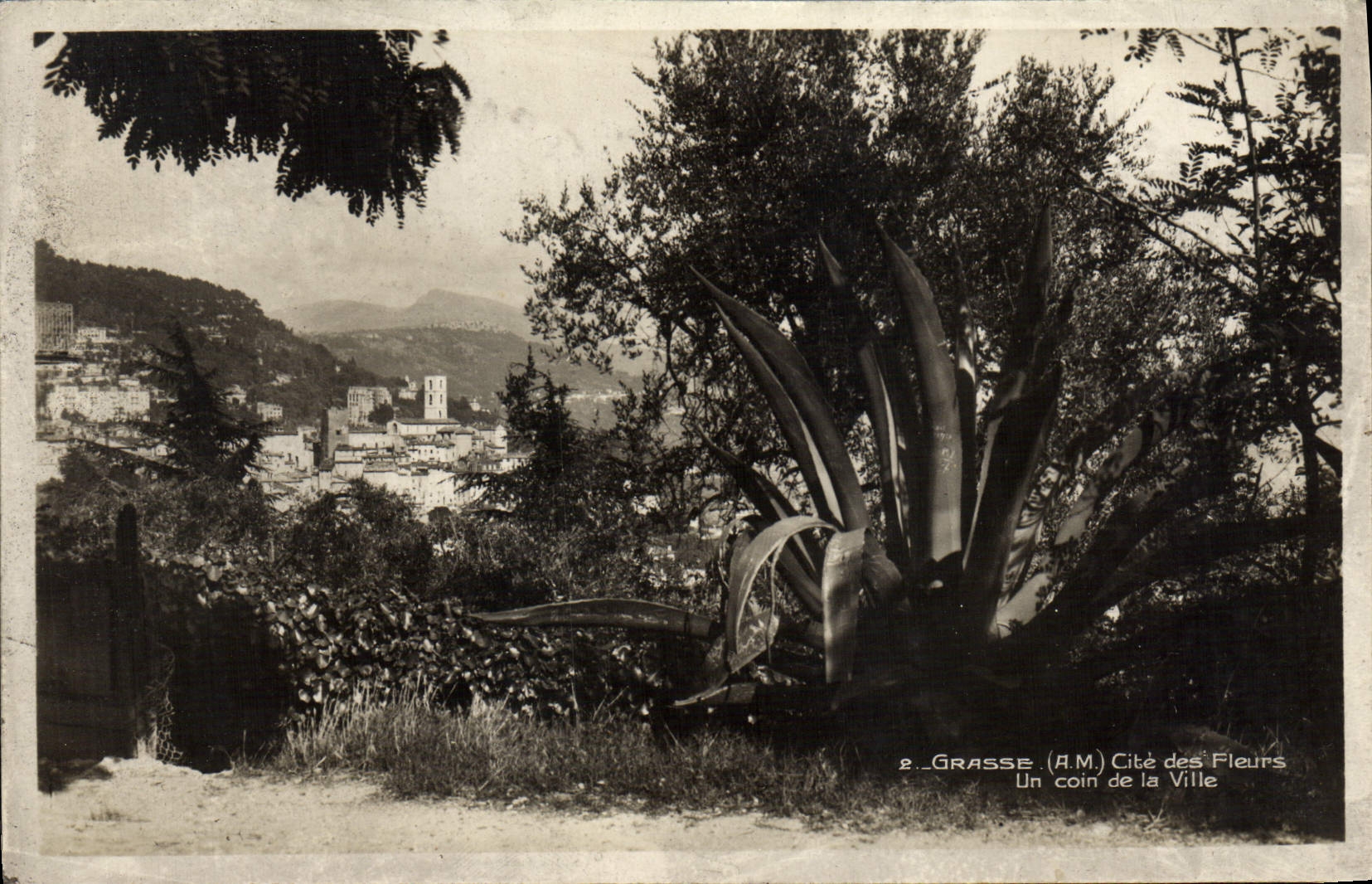 POSTAL ISCED graso de la VENDIMIA de las flores una esquina de la ciudad